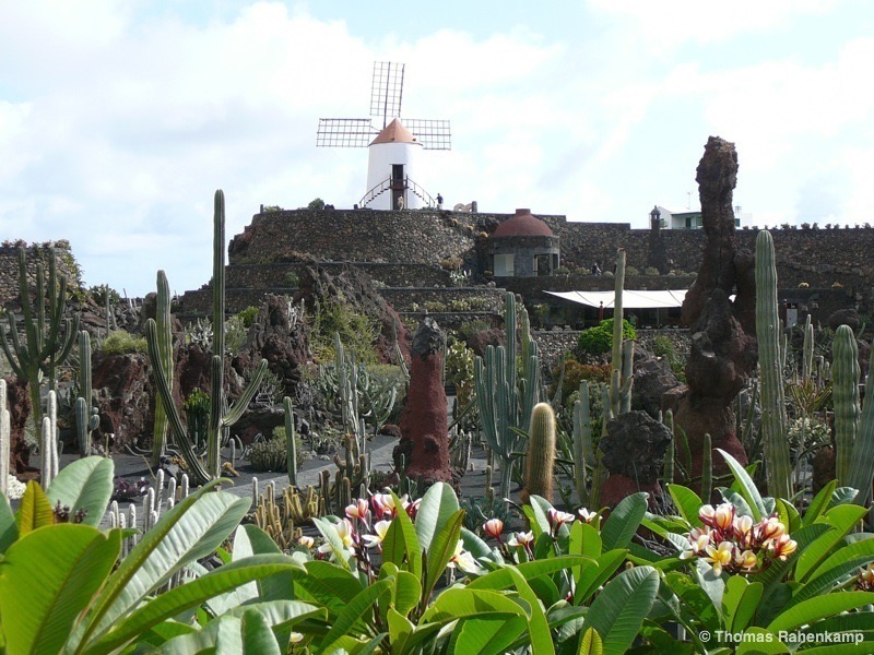 Jardin de Cactus