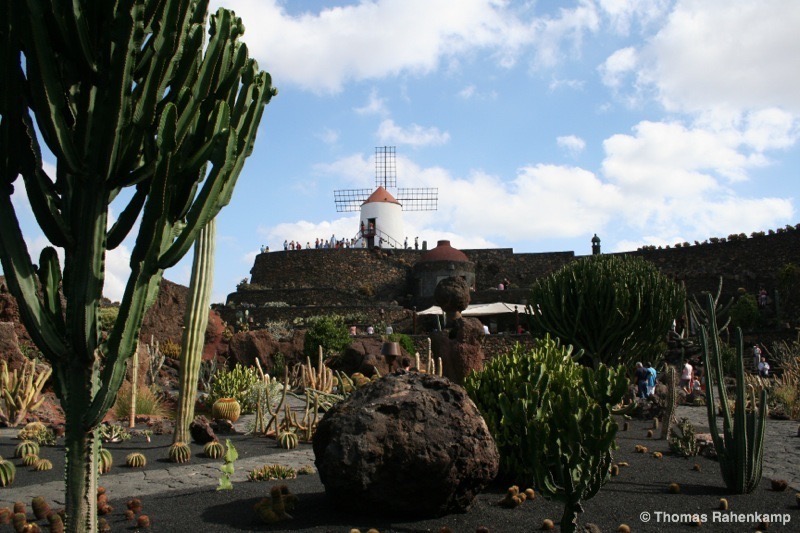 Jardin de Cactus