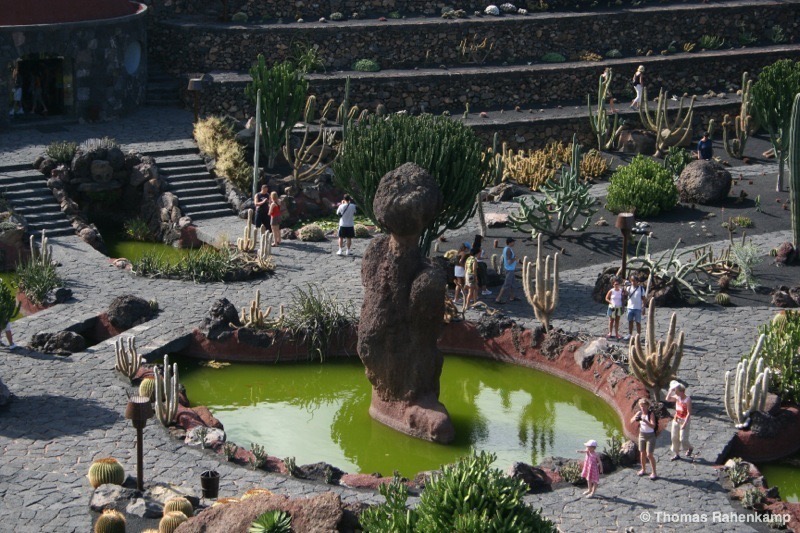 Jardin de Cactus